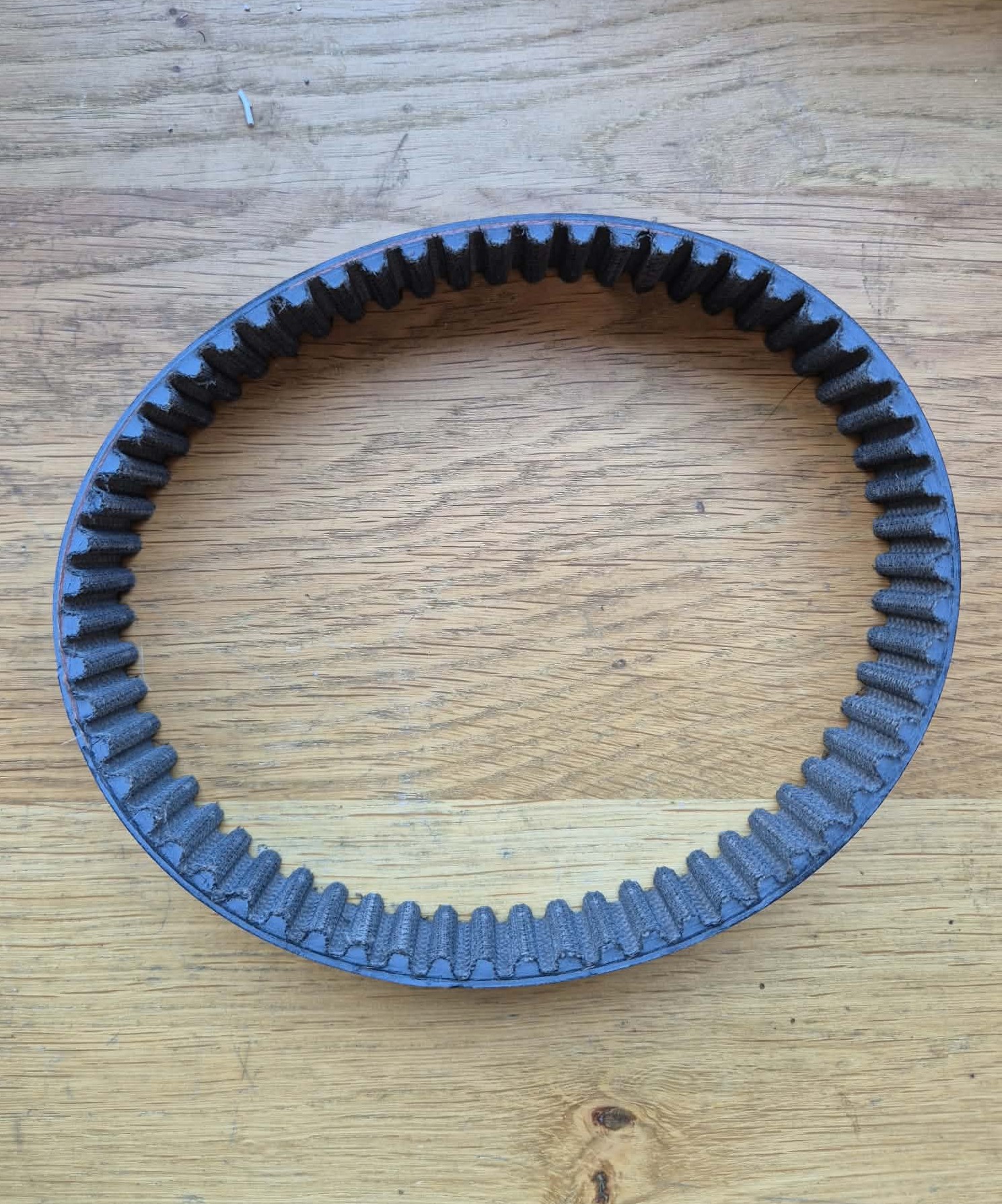 Courroie Electric Motion